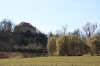 stromovka-110324_028