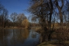 stromovka-110324_032