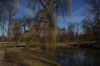 Královská obora - Stromovka - jezírko