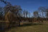 stromovka-110324_034