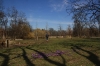 stromovka-110324_035