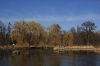 stromovka-110324_039