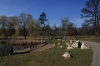 stromovka-110324_044