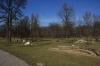 stromovka-110324_045