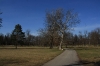 stromovka-110324_046