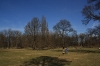 stromovka-110324_047