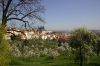 Petřín - pohled na pražský hrad
