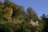 Vyšehradské sady