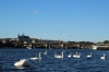 Praha - Vltava v pozadí Pražský hrad