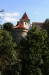 Daliborka
