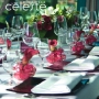 Céleste Restaurant & Bar - Tančící dům