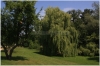 Zámek Ctěnice - zámecký park