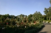 Petřín - park