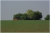 Prokopské údolí - náhorní část