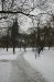 Vyšehrad zimní 023