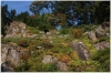 Průhonický park