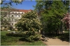 Vojanovy sady