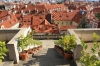 praha-1-ledenburska-zahrada09007