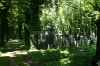 Nový židovský hřbitov