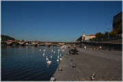 Nasenaplavka