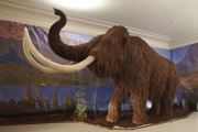 Giganti doby ledové
