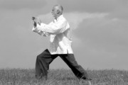 Cvičení Tai chi - styl rodiny Yang