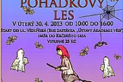 Čarodejnický pohádkový les