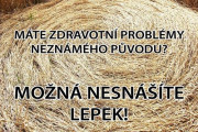 Podzimní bezlepkový trh