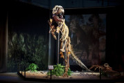 Dinosaurium aneb výprava do Druhohor
