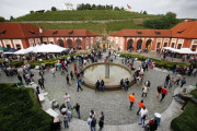 Trojské vinobraní