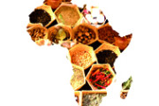 Festival africké kuchyně
