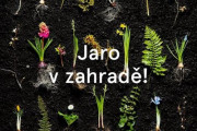 Jaro v zahradě