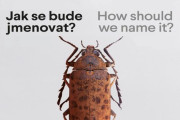 Jak se bude jmenovat?