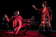 Mezinárodní den flamenca v Praze