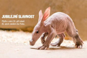 Výroční slavnost založení Zoo Praha 2016