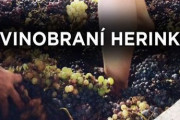 Vinobraní Herink 4. ročník