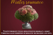 Zimní romance