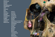 ART-BRUT-ALL