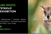 Czech Nature Photo – Porotci vystavují