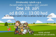 Dětské chytání ryb