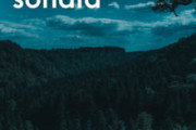 Měsíční sonáta