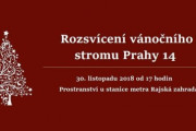 Rozsvícení vánočního stromu Prahy 14